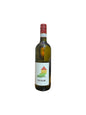 Roero Bianco DOCG 2024 - CASA TALLONE