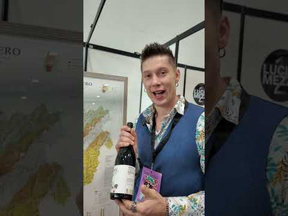 Langhe Nebbiolo DOC 2023 - BAJAJ