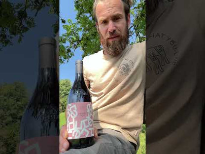 "Ducet" Dolcetto d'Alba DOC 2024 - CANTINA 12064