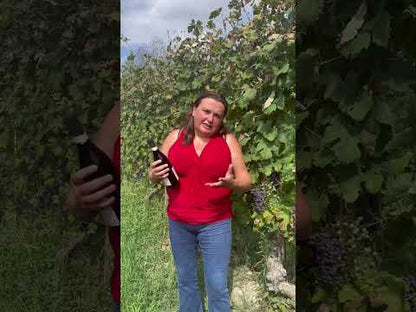 Barolo Rocche dell'Annunziata DOCG 2019 - RENATO MOLINO