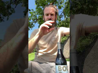 Langhe Barbera DOC 2022 - CANTINA 12064