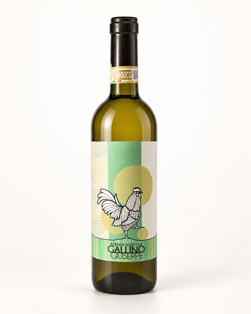Roero Arneis DOCG 2025 – Giuseppe Gallino
